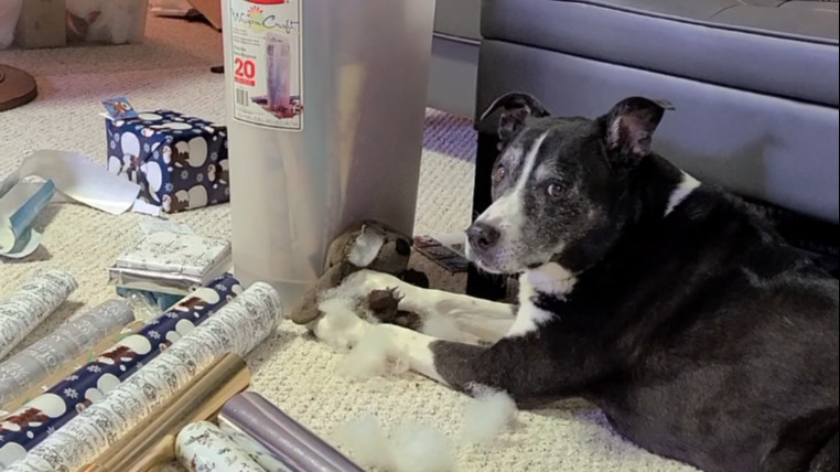 Helping to Make a Christmas Mess